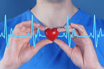Cardiology. Doctor holding red decorative heart on color background, closeup. Blue heartbeat line