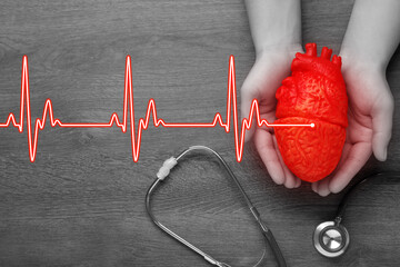 Cardiology. Doctor holding anatomical model of heart on wooden table with stethoscope, toned in...
