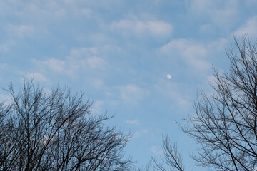 Cloudy sky with a visible moon and bare trees during early evening hours in winter