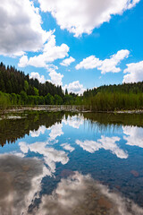 Reflection of the partly cloudy sky on the lake in a lush forest