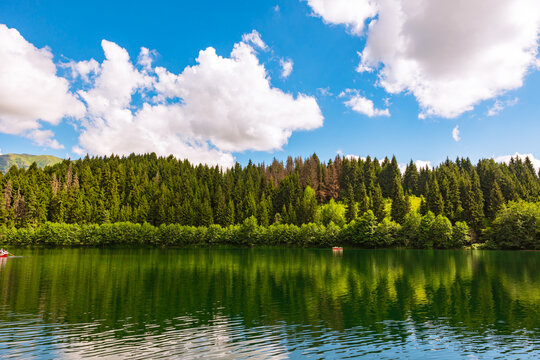 Landscape of a lake and forest with partly cloudy sky
