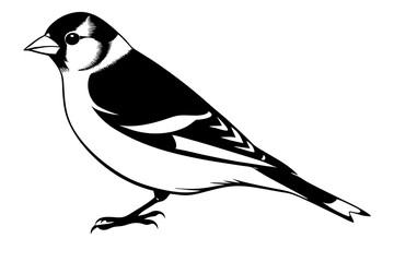 Goldfinch Vector Illustration – SVG, PNG, EPS, AI, PSD Files for Digital & Print Design