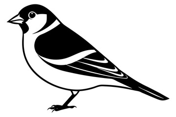 Goldfinch Vector Illustration – SVG, PNG, EPS, AI, PSD Files for Digital & Print Design