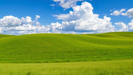 Fototapeta premium Rolling green hills under a bright blue sky with fluffy white clouds above.