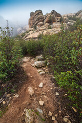 Fog at Carboneros Path