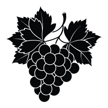 recommend clip art: bunch of grapes vector