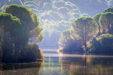 Rio Alberche entre los pinares