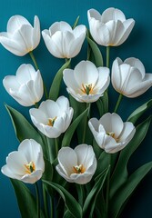 Naklejka premium In a flat lay style, white tulips set in a blue frame on a floral spring background make an excellent choice for Women's Day or Mother's Day postcards or a sales concept. Plenty of space for text is
