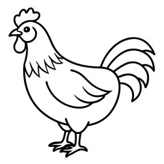 chicken line art vector