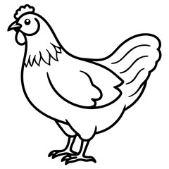 chicken line art vector