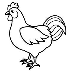 chicken line art vector