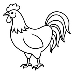 Rooster line art vector