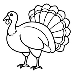 Turkey line art vector