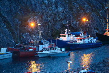 Autumn natural scenery in Greenland, Arctic © zheng