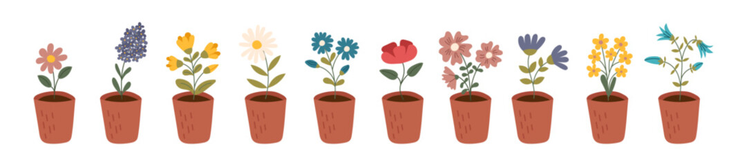Set of flowers in pots. Concept of botanical decoration, plant care, gardening, spring, holiday gift. Vector hand drawn cliparts.