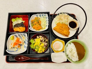 A set of delicious Japanese food featuring grilled salmon, spicy salmon salad, salmon sushi, fresh vegetable salad, crispy tonkatsu, and Japanese curry rice