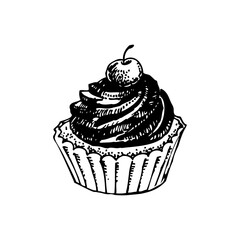 Hand drawn cake cupcake. Isolated sketch illustration on white background