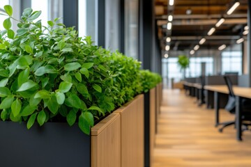 planters in a modern office space