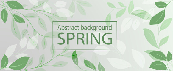 Spring abstract banner featuring delicate leaves and soft pastel green colors for seasonal decoration