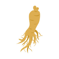 オタネニンジン(高麗人参、朝鮮人参）。フラットなベクターイラスト。
Oriental ginseng root. Flat vector illustration.