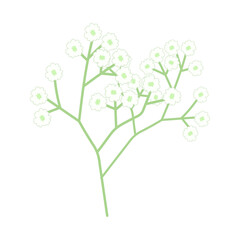 カスミソウ。フラットなベクターイラスト。
Gypsophila (baby's breath). Flat vector illustration.