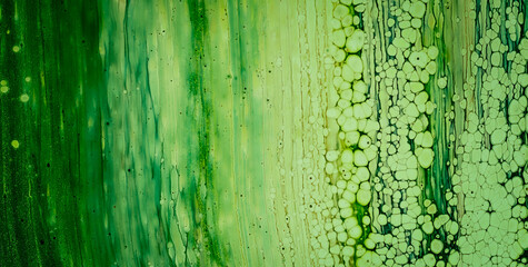 A Beautifully Painted Pattern with Gold and Colorful Texture