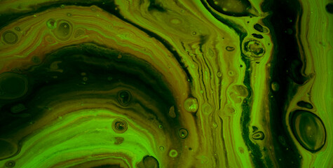 A Dynamic Backdrop with Texture, Pattern, and Color