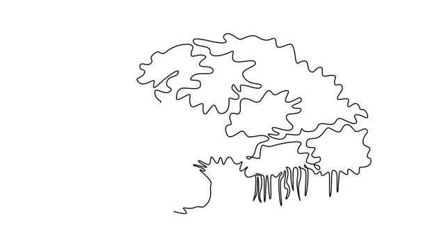 Self drawing animation single line draw shady and leafy banyan tree wall decor home poster print. Decorative ficus benghalensis plant for national park logo. Continuous line draw. Full length animated