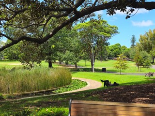 A relaxing park in a sunny summer day