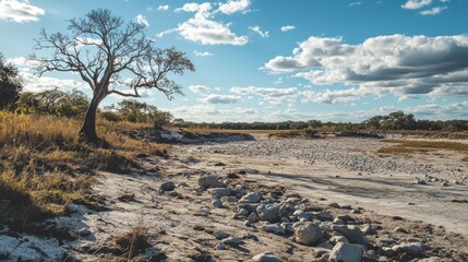 A dried-up riverbed with scattered rocks and
