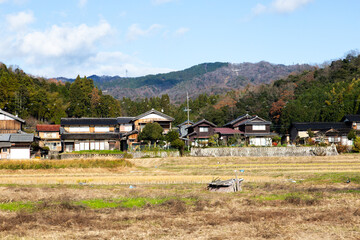 rural landscape of rice fields with Japanese houses in background