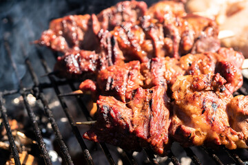 A plate of meat is on a grill, with the meat being cooked