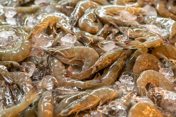 A pile of shrimp is sitting on ice