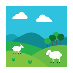 sheep and lambs