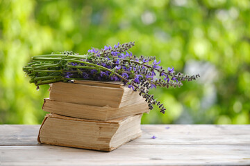 flowers on old books in garden, beautiful blurred green natural landscape background, Reading books...