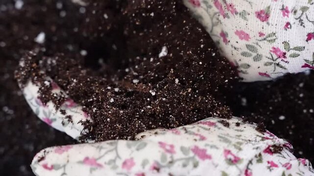 Female hands pour vermiculite and perlite and fertilizers into a cup with soil. Prepares the ground. Concept of transplantation, planting, farmer, business, vegetable garden, ecology, seedlings, plant