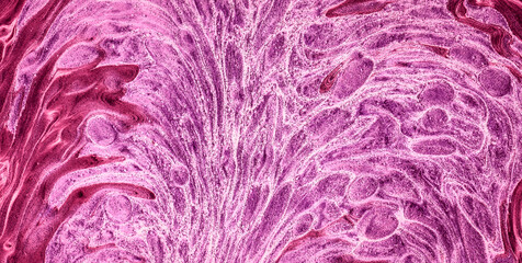 Enigmatic Elegance: Oil-Painted Liquid Art with Vibrant Translucent Colors