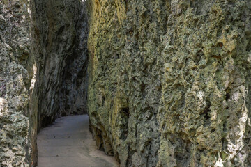 Wanderweg durch Kalkfelsen, ehemalige Korallen-Riffe, Coral Reef Trail, Kenting National Forest Recreation Area, Kenting, Hengchun Township, Landkreis Pingtung, Taiwan