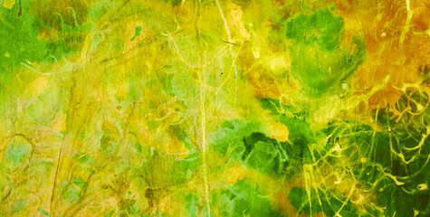 Bold Colors and Gold Accents in a Textured Backdrop