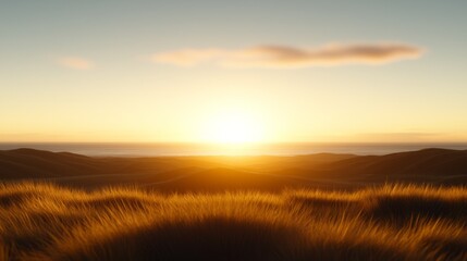 Obraz premium A sunset over a grassy field with the sun setting in the distance