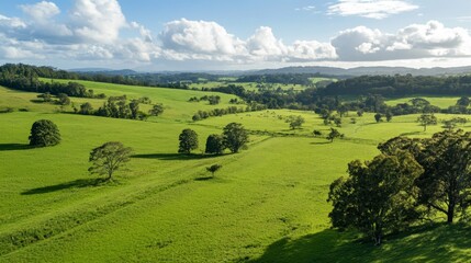 Obraz premium Vast Green Valley Landscape with Lush Trees