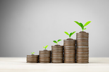 Money management, financial planning and savings concept. Many coins arranged in rows with tree on...