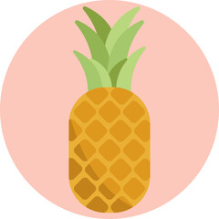 Tropical Fruit: A symbol of Hawaii's agriculture, showcasing the island's famous pineapple.