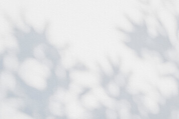 Leaf shadow and light on wall grey background. Nature tropical leaves plant tree branch shade sunshine . Sunlight on white wall texture for background wallpaper, shadows overlay effect foliage mockup