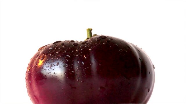 Tomate morado mojado y girando