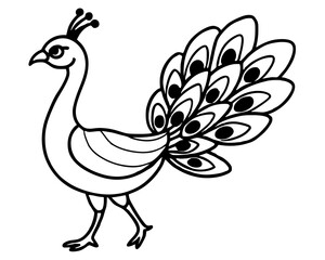 peacock vector illustration