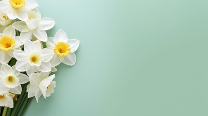 Fototapeta premium Fresh and Elegant White Daffodils in a Bouquet on a Soft Mint Green Background for Spring or Floral Decor Inspiration