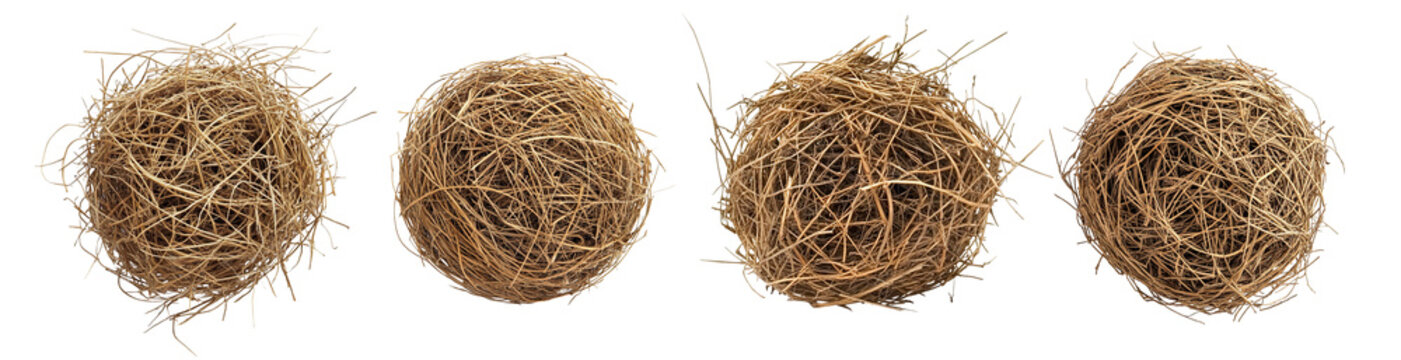 Set of round dry tumbleweeds, isolated on transparent cutout background