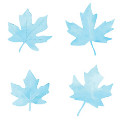 Autumn leaf watercolor hand drawn set collection