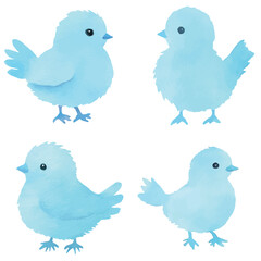 Chick watercolor hand drawn set collection